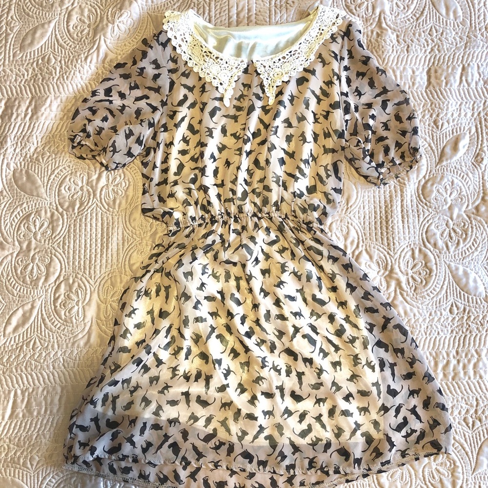 Crazy 4 Cats 🖤 Dress